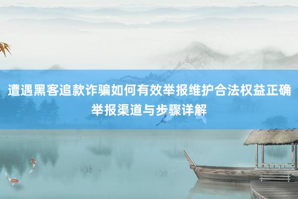 遭遇黑客追款诈骗如何有效举报维护合法权益正确举报渠道与步骤详解